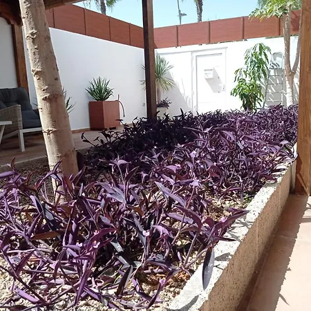 فيلة Abona Cave House Fasnia